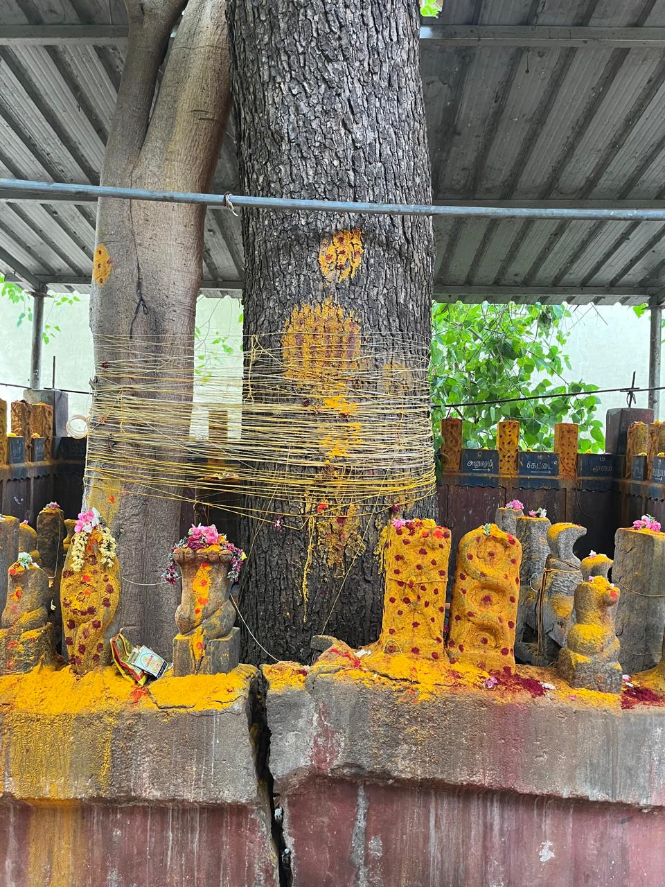 நாகர் சந்நிதி
