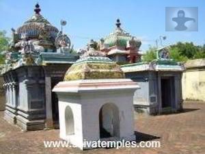 புன்னை வனநாதர் சந்நிதி, மகாலட்சுமி சந்நிதி