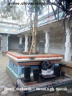ஸ்தல வ்ருக்ஷம்